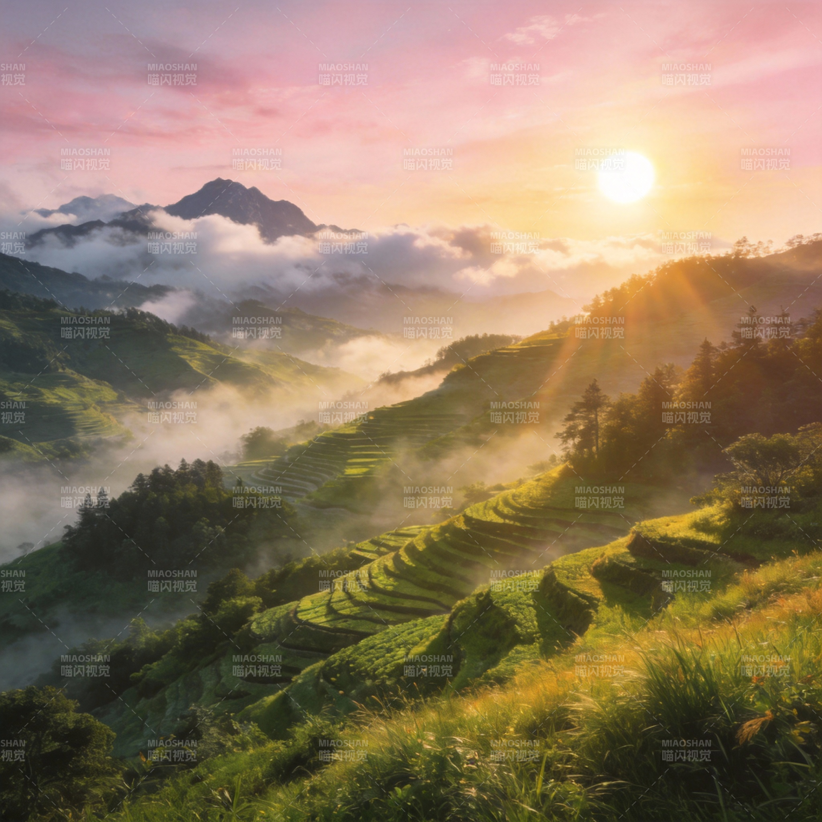 晨曦梯田云海图片