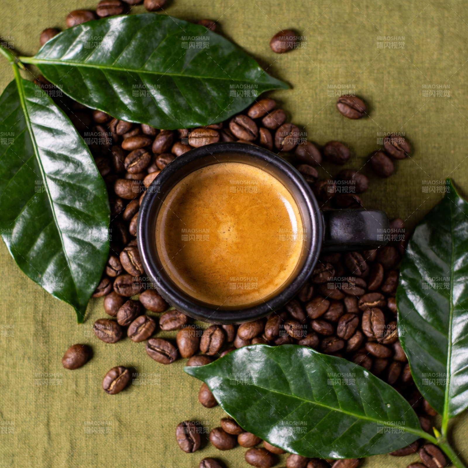 咖啡豆与绿叶相伴图片