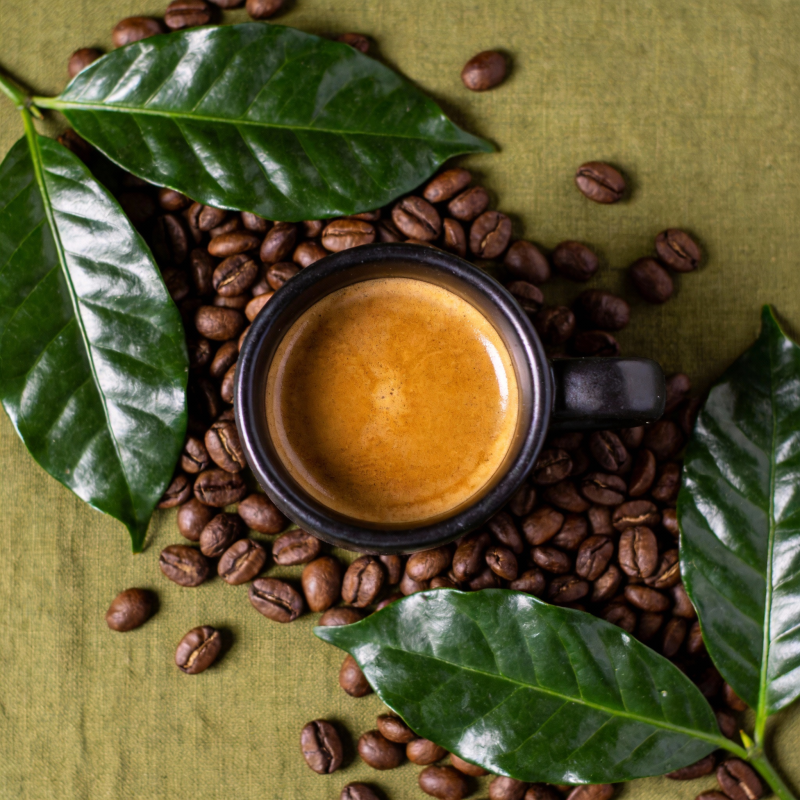 咖啡豆与绿叶相伴图片