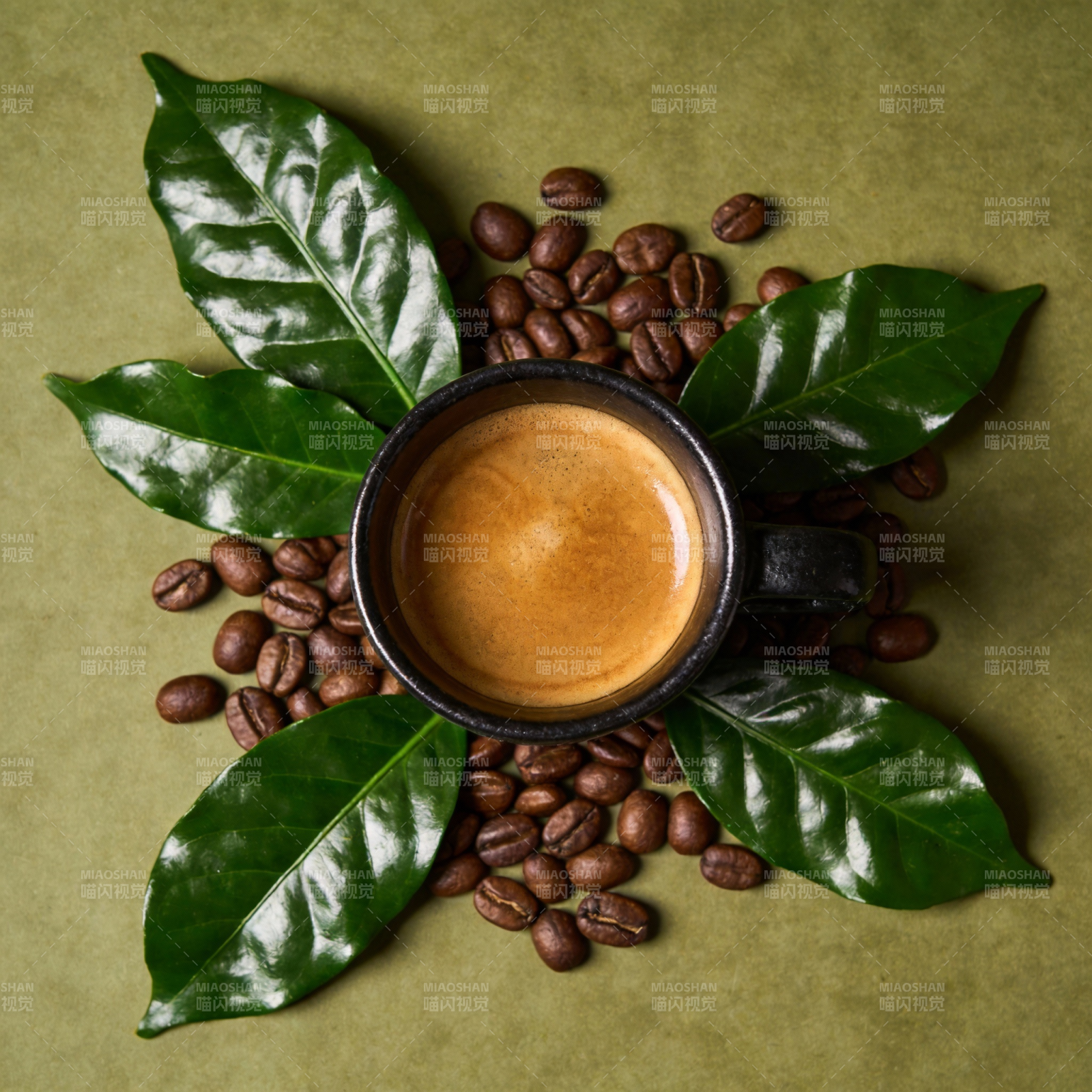 咖啡豆与绿叶环绕图片