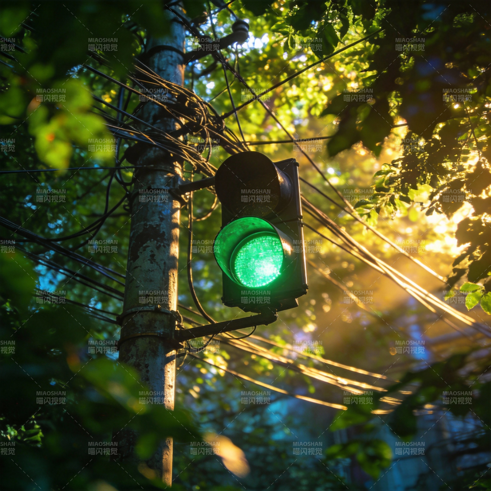 绿灯映林间图片