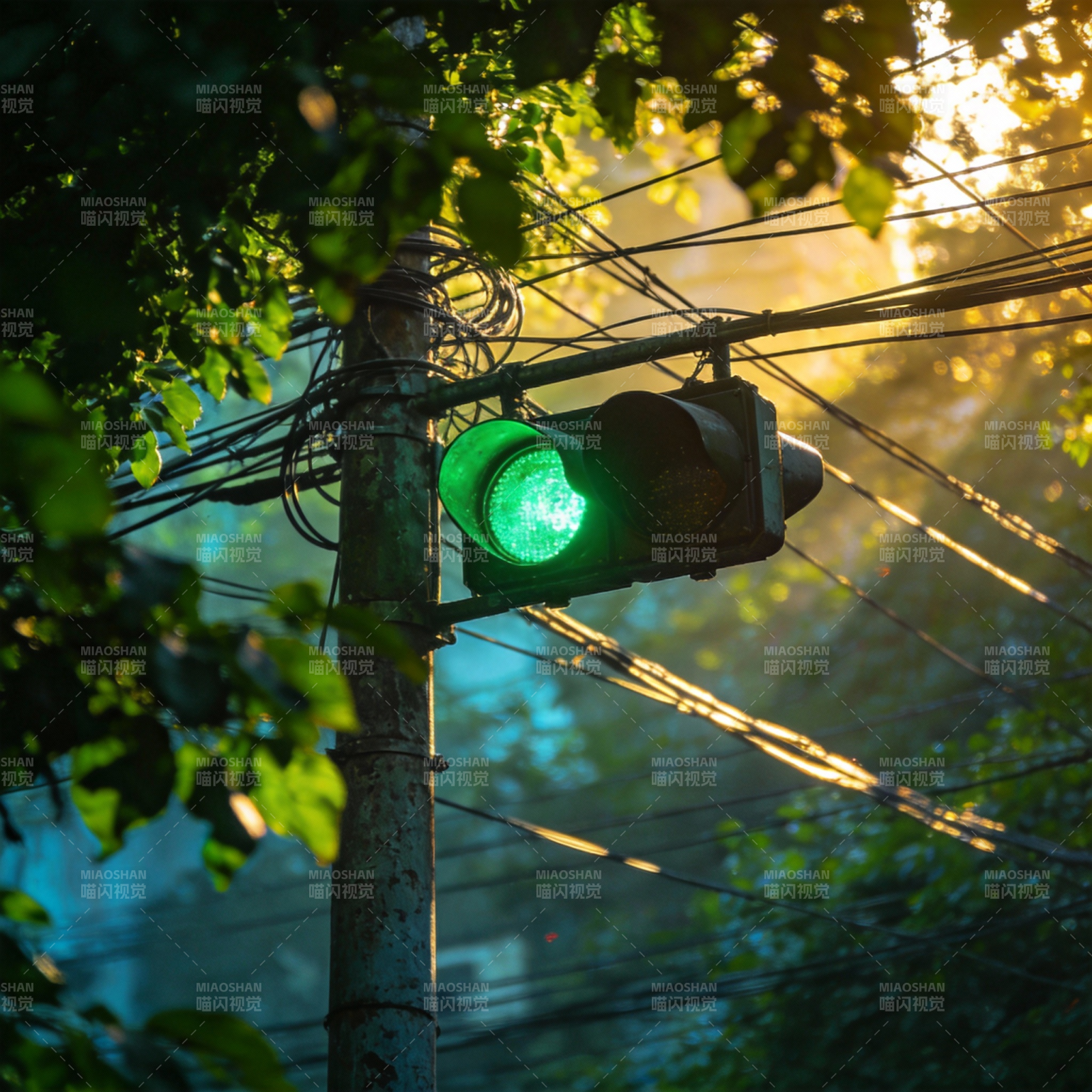 绿灯映树影图片