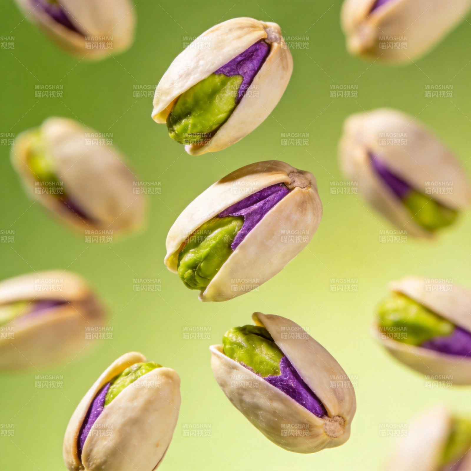 紫绿相间的开心果图片
