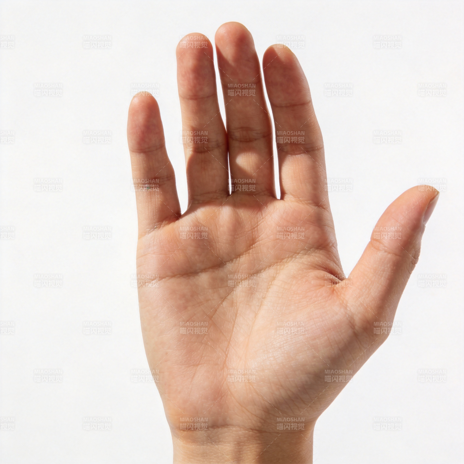 手掌摊开示五指图片