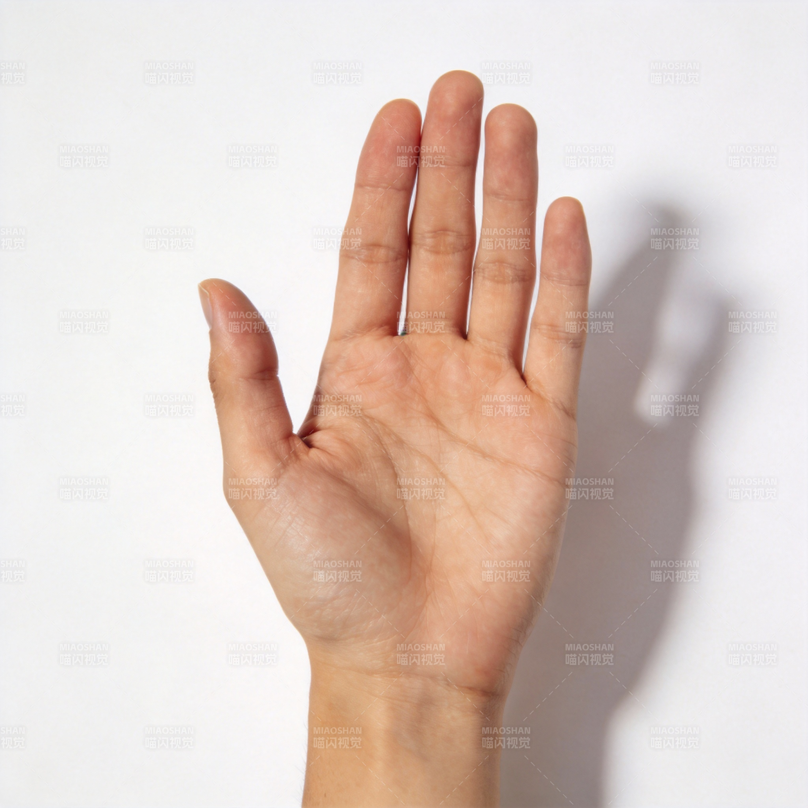 手掌向上展示图片