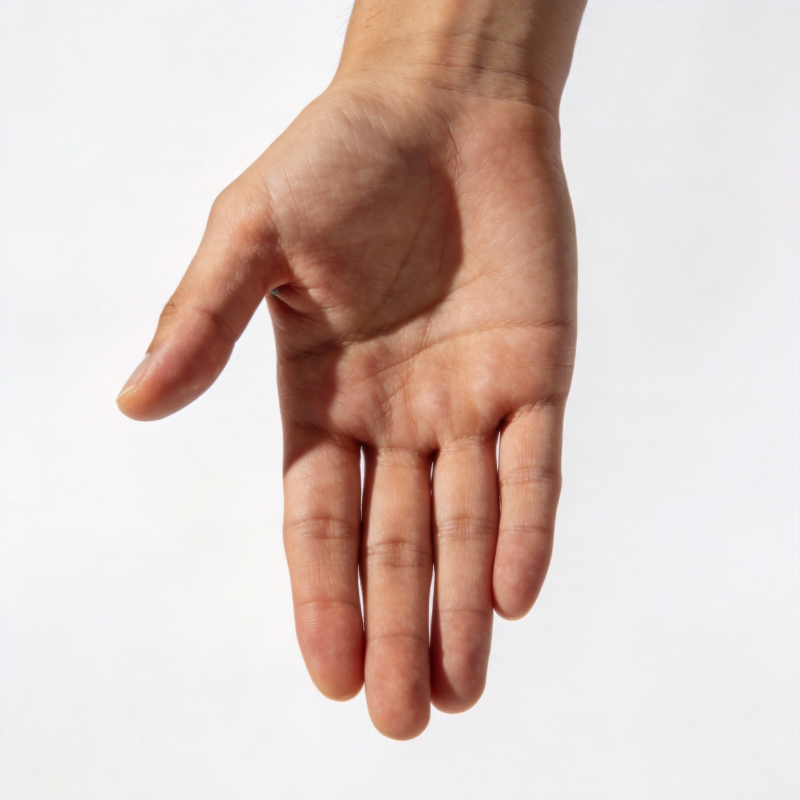 手掌伸展图片