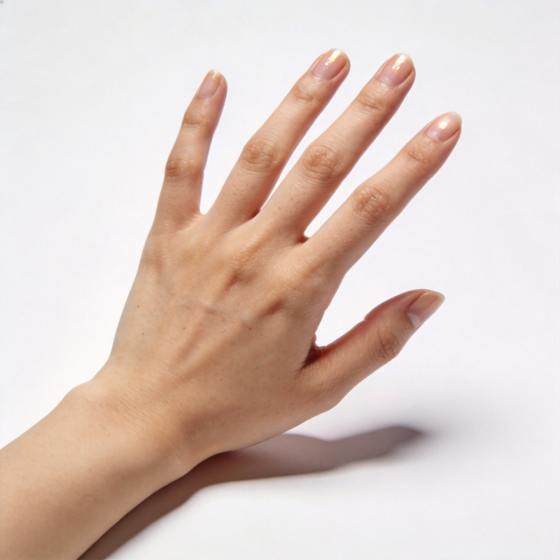 手部特写 自然美态图片