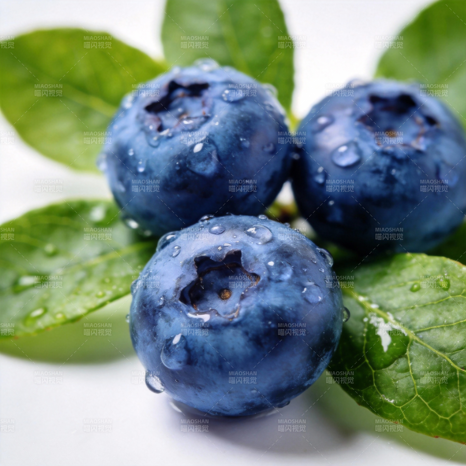 晶莹蓝莓 绿叶相伴图片