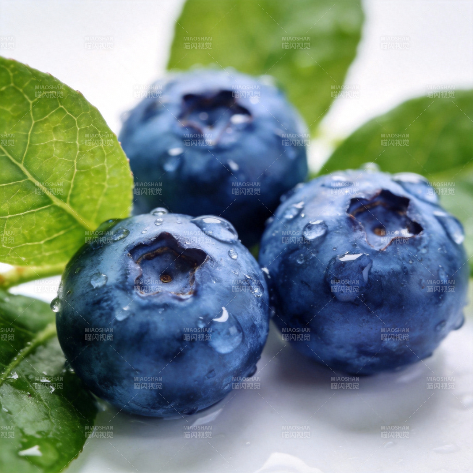 晶莹蓝莓鲜嫩欲滴图片