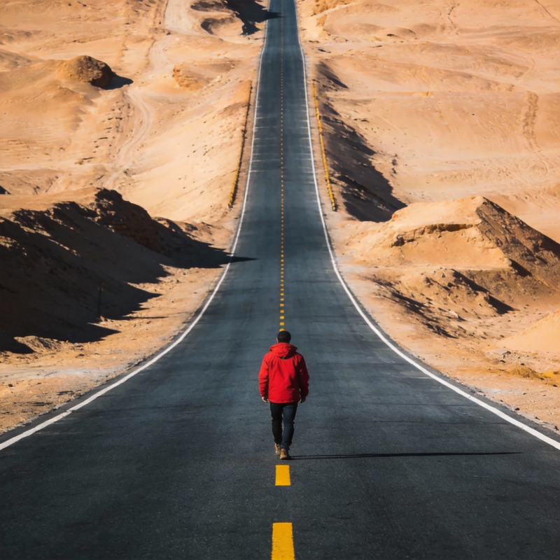 沙漠公路独行者图片