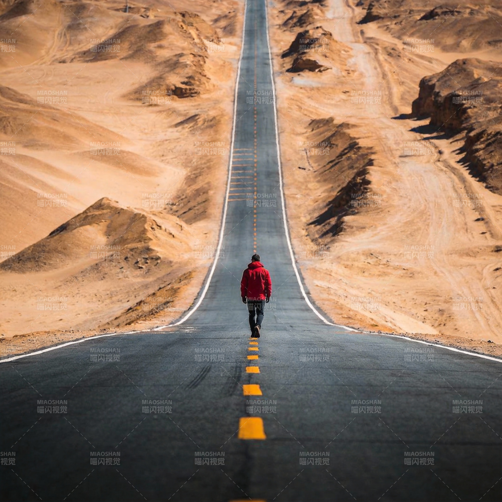 沙漠公路独行者图片