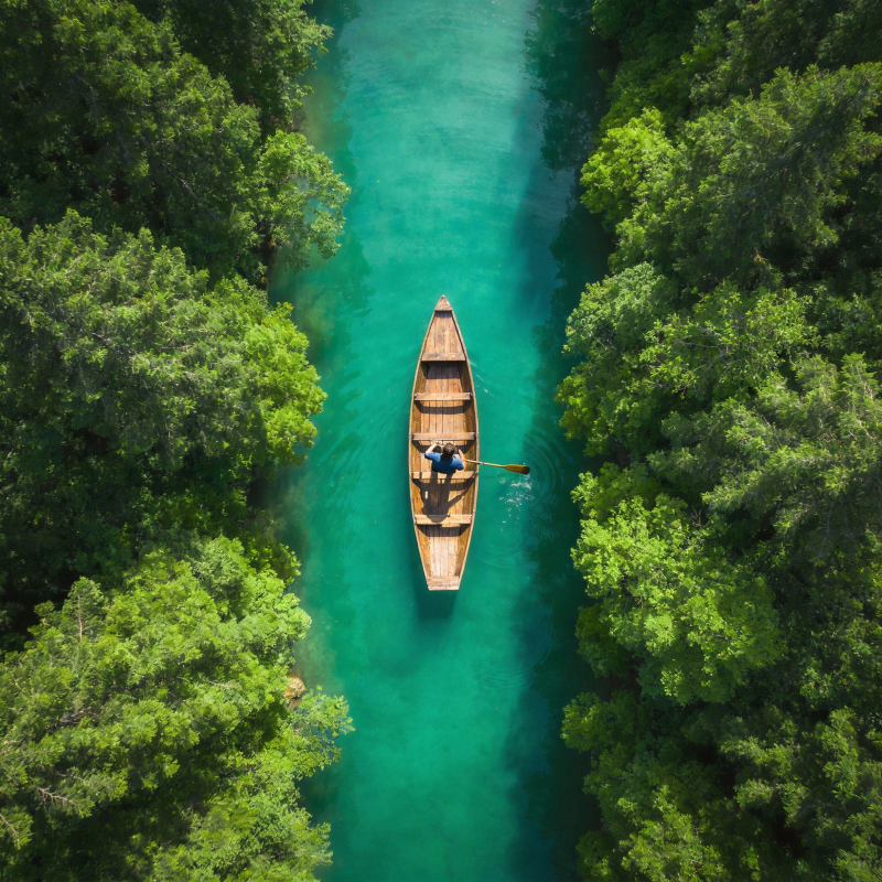 碧水行舟 绿树成荫图片
