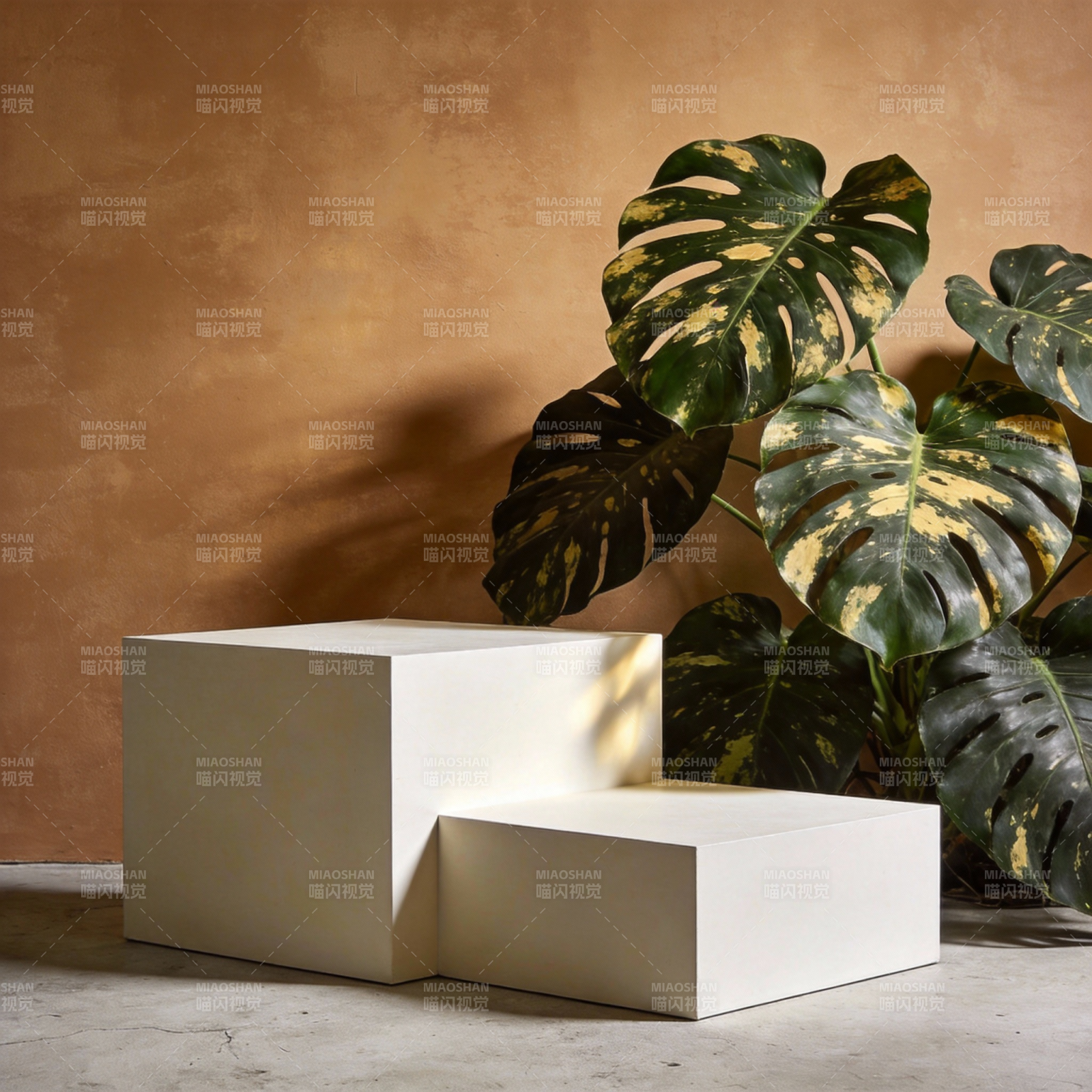 绿植与几何台座图片