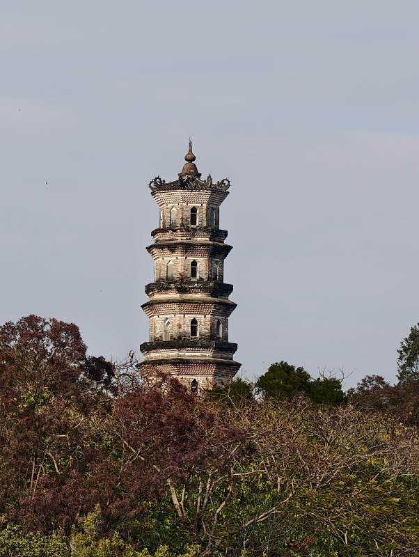 古塔矗立林间～广东惠州图片