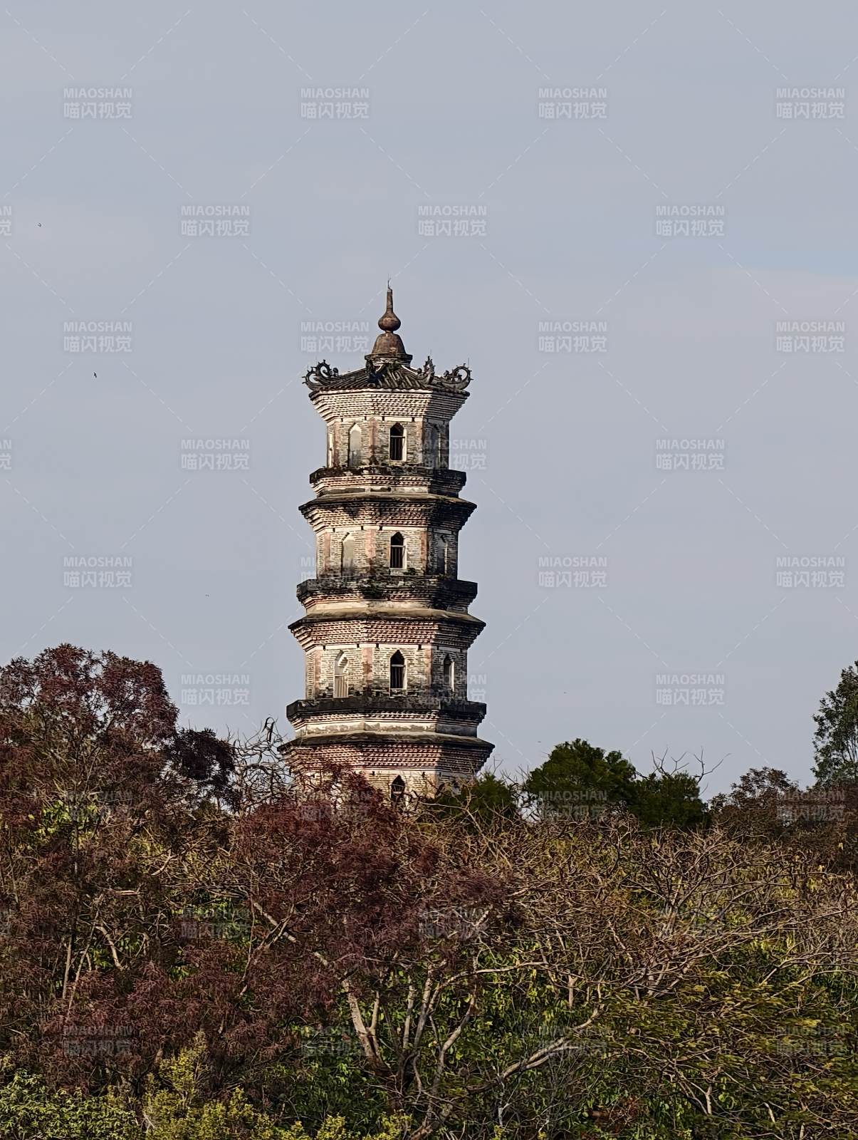 古塔矗立林间～广东惠州图片