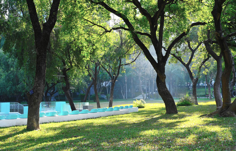 光影下绿树成荫的公园美景图片