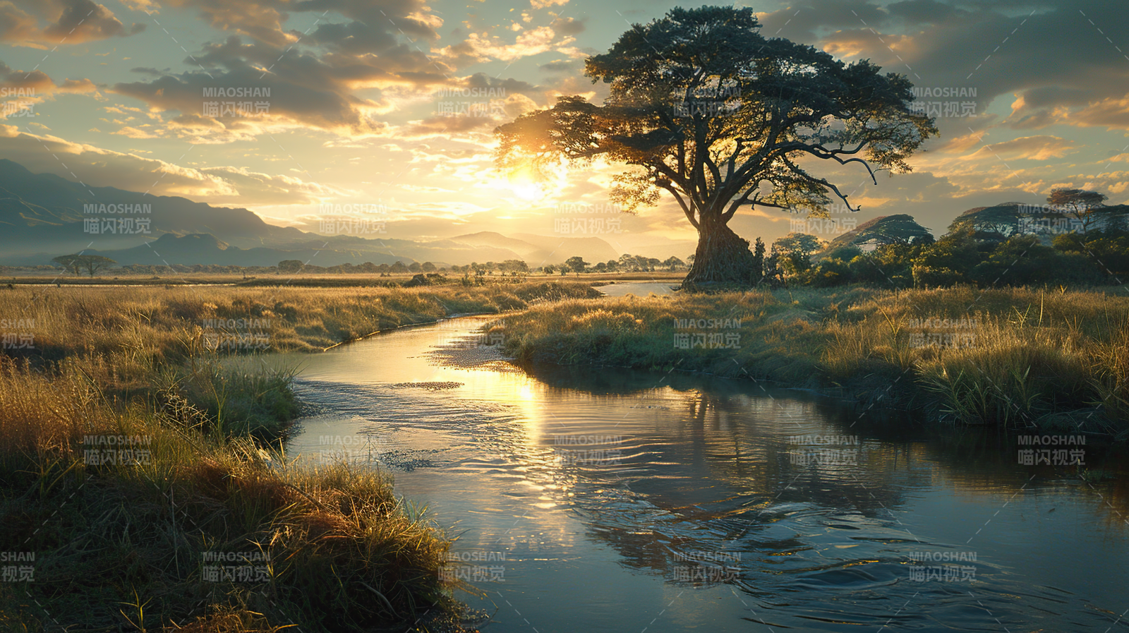 夕阳下的静谧河流图片