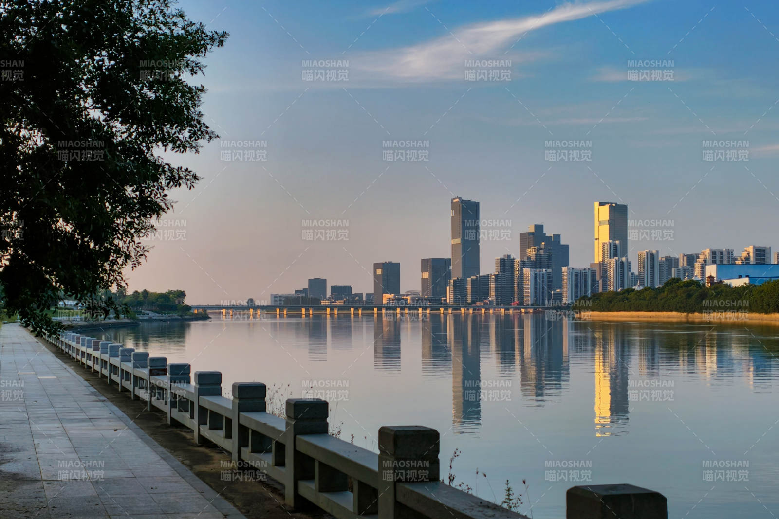 城市湖畔风光（厦门）图片