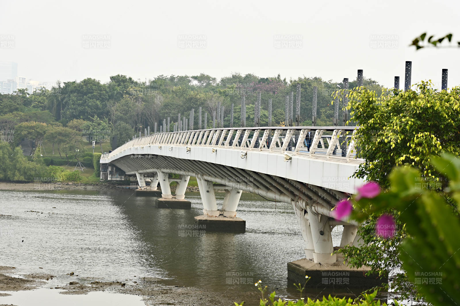 深圳城市现代简约桥梁景观图片