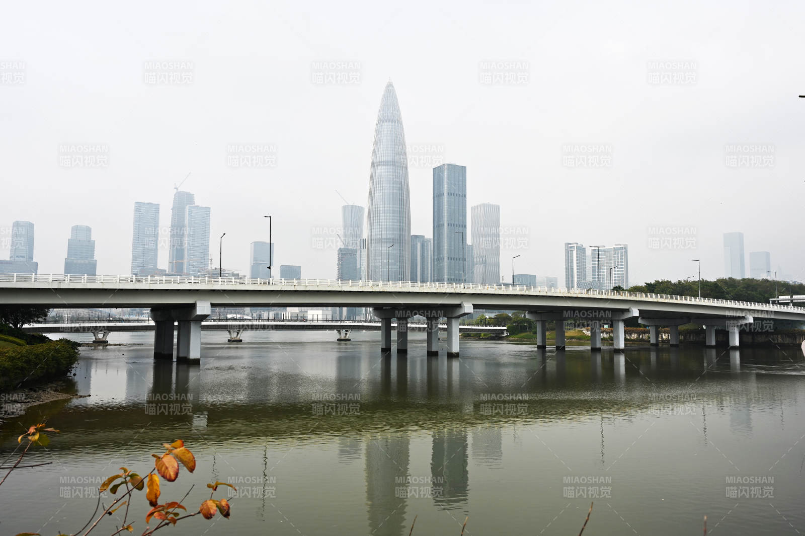 深圳现代都市桥梁与摩天大楼图片