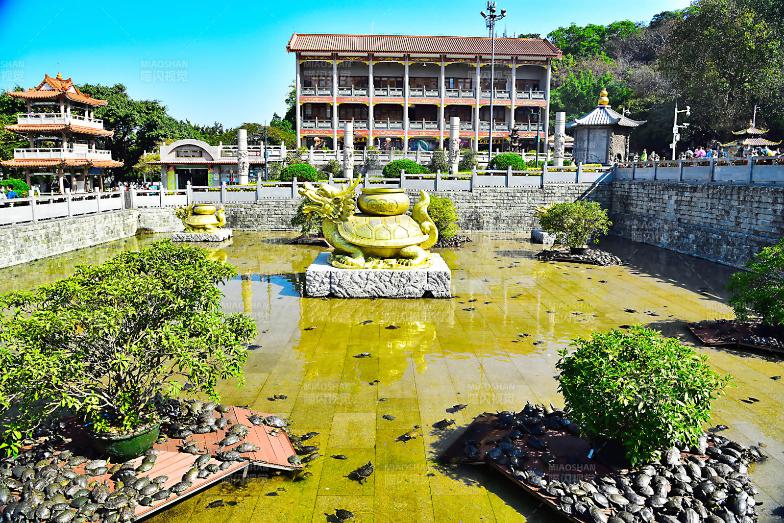 深圳凤凰山龙池庭院风光图片