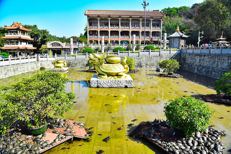 深圳凤凰山龙池庭院风光图片