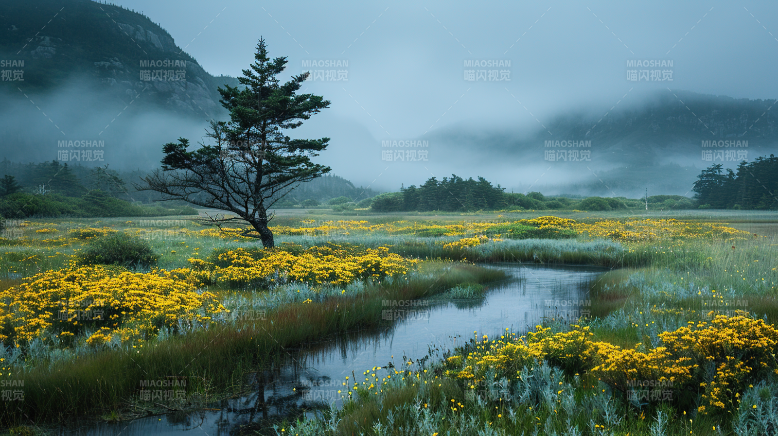 雾中花野溪流图片