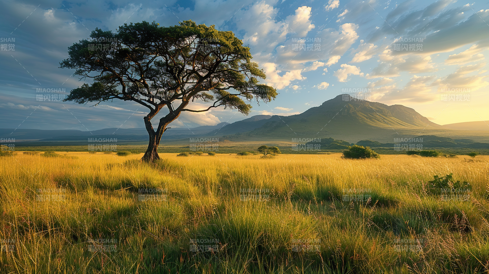 草原孤树映山峦图片