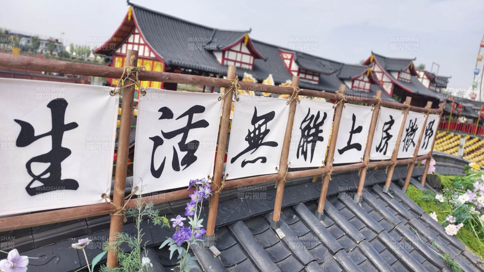 生活无解上房撒野图片