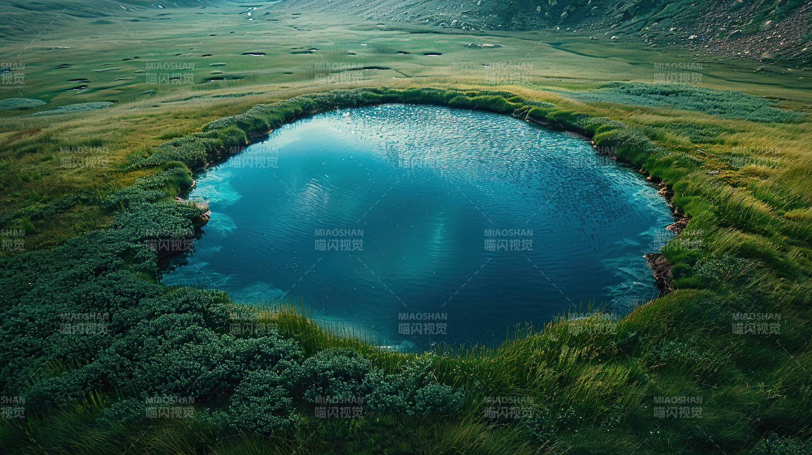 碧湖映翠野图片