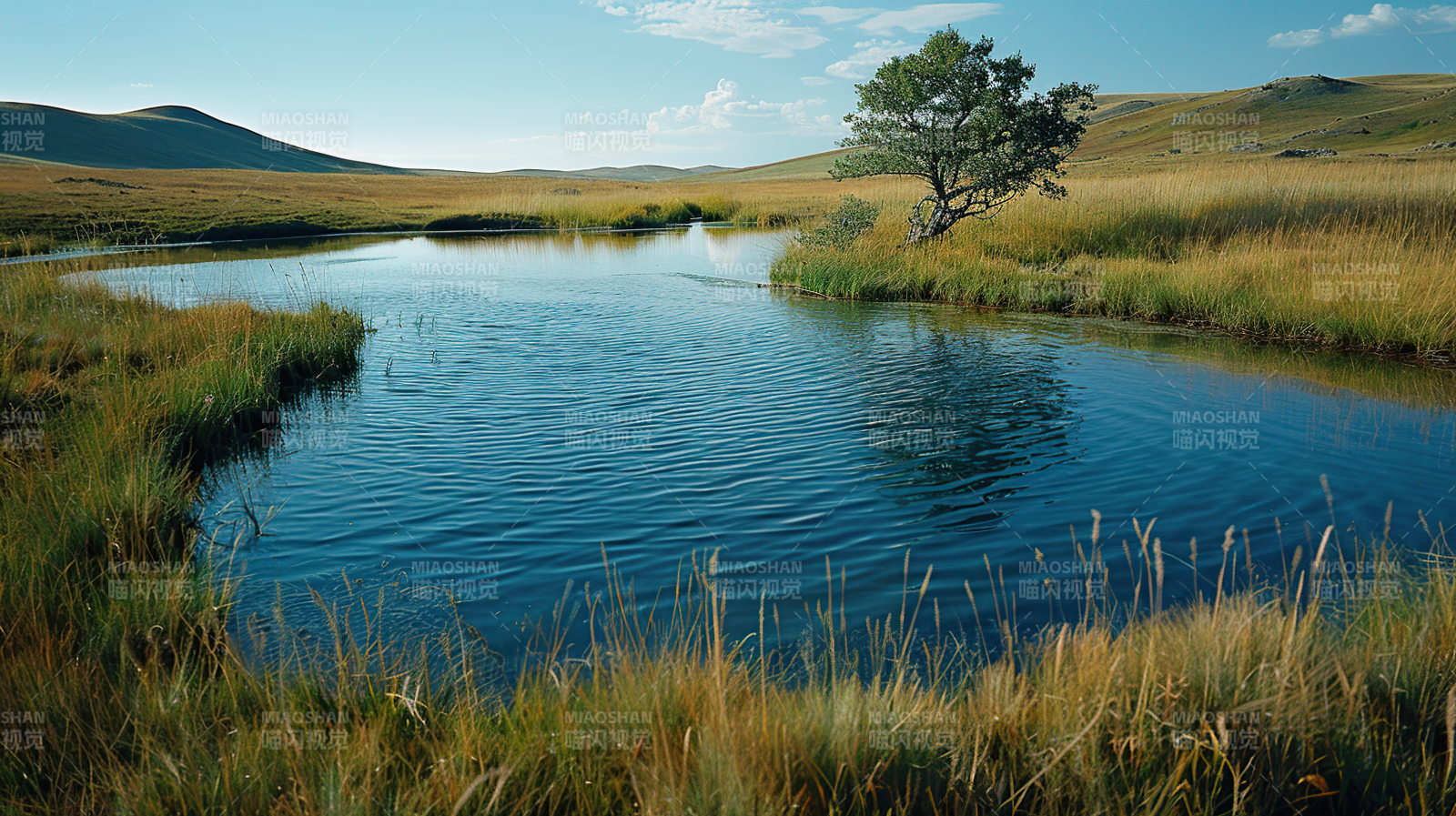 静谧湖畔风光图片
