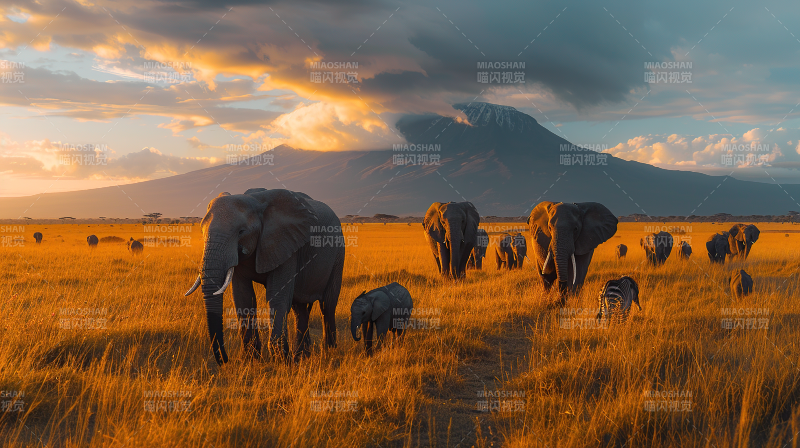 草原象群日落行图片