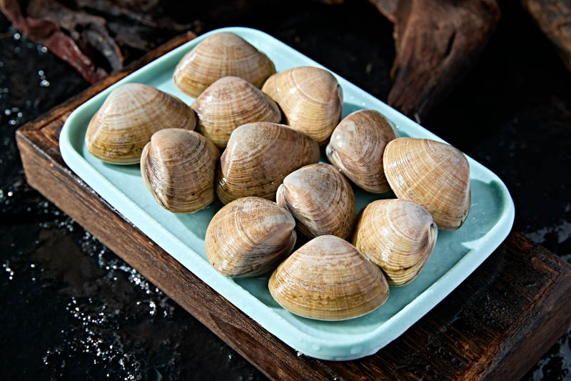 丹东烧烤传统食材鲜活黄蚬子图片