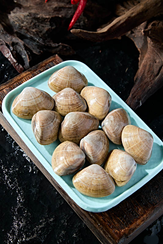 丹东烧烤传统食材鲜活黄蚬子图片