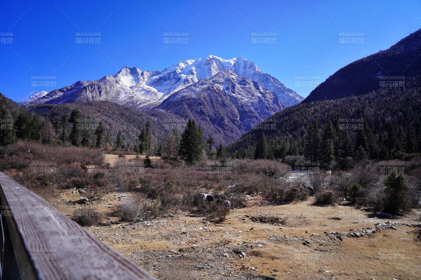 雅拉雪山风光图片