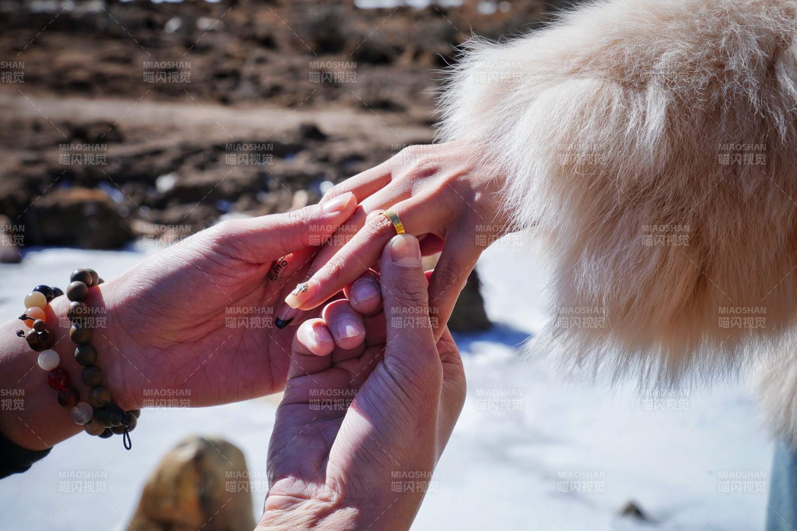 雪地中的温暖牵手图片