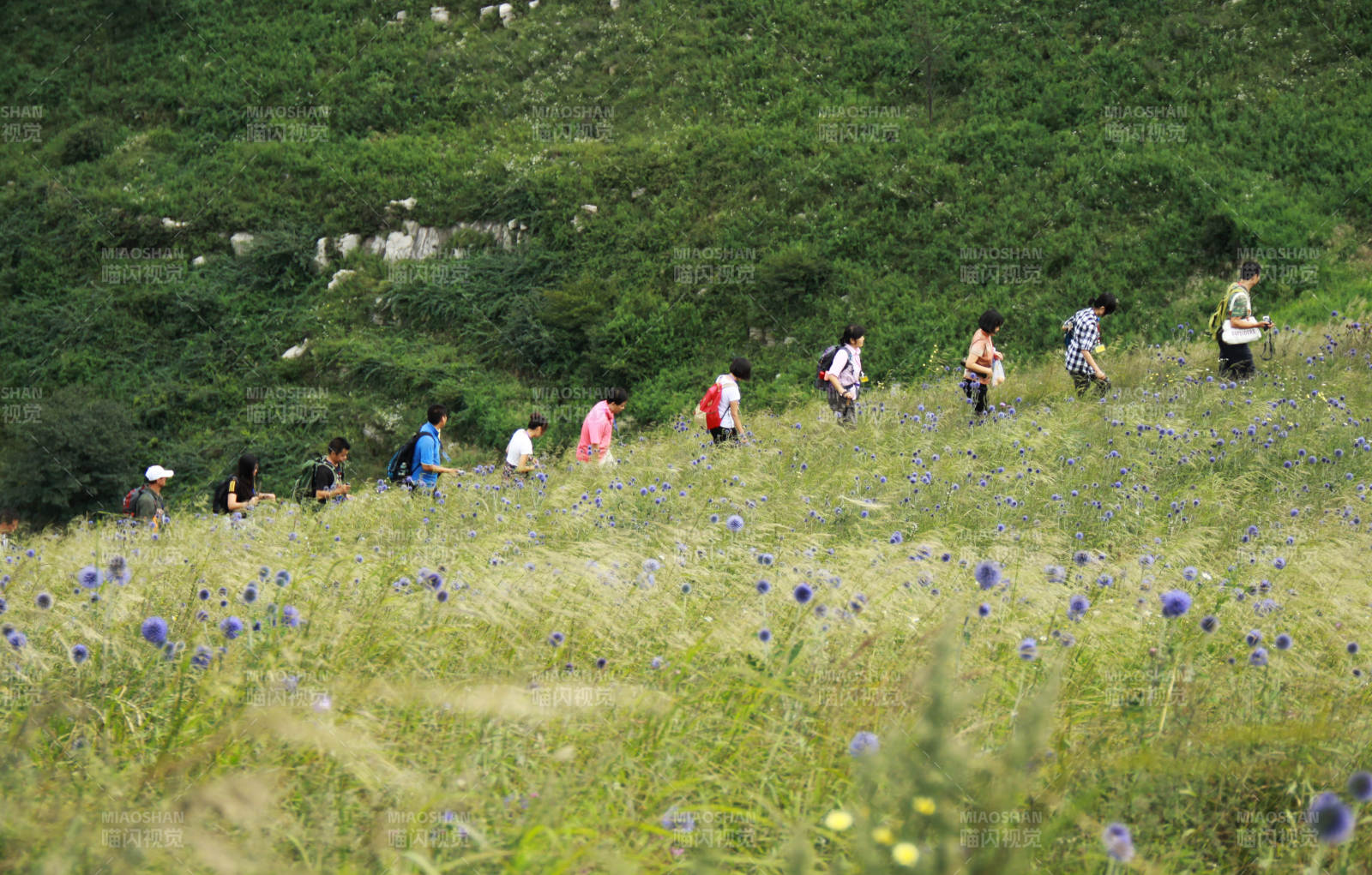 花海徒步赏景图片