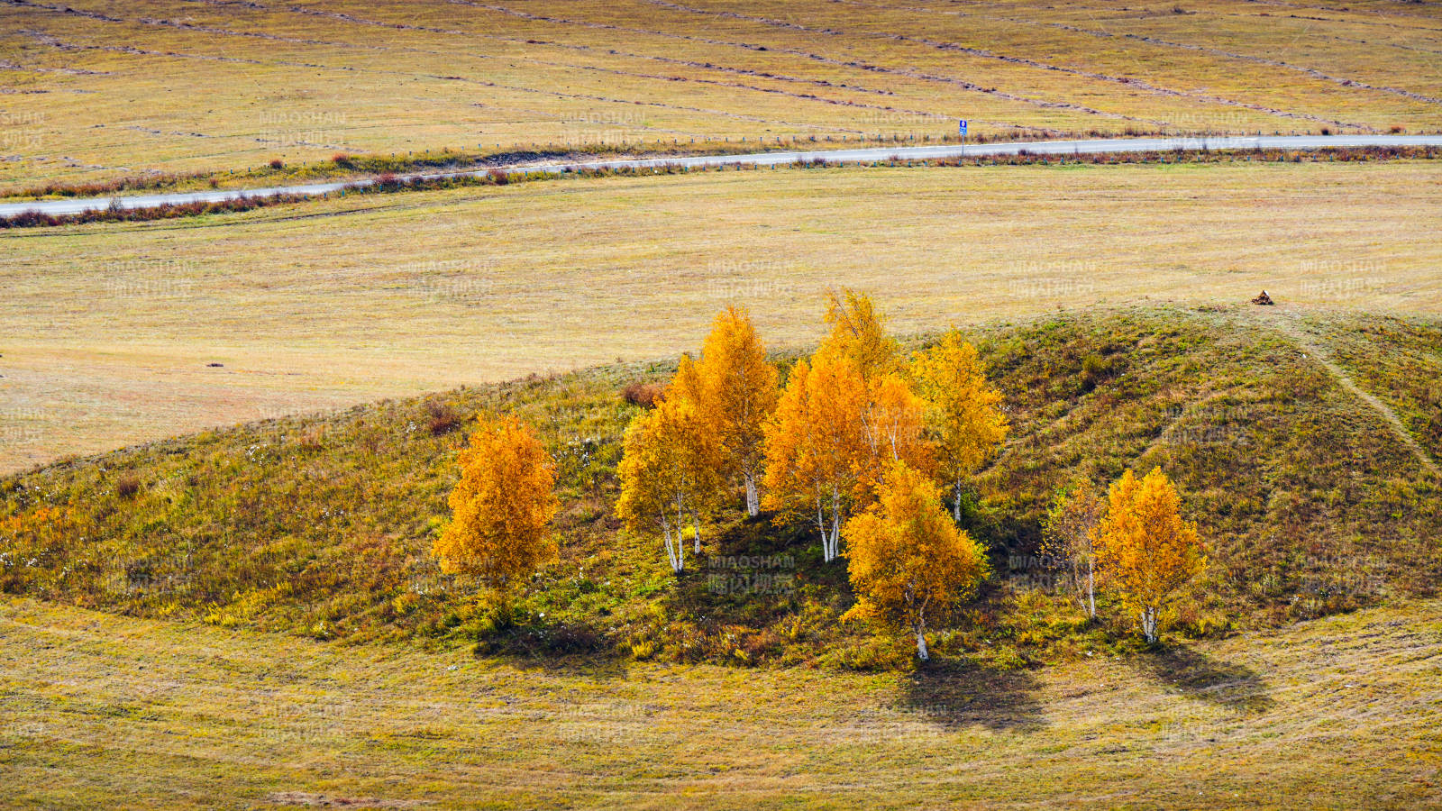 乌兰布统秋日金林小丘图片
