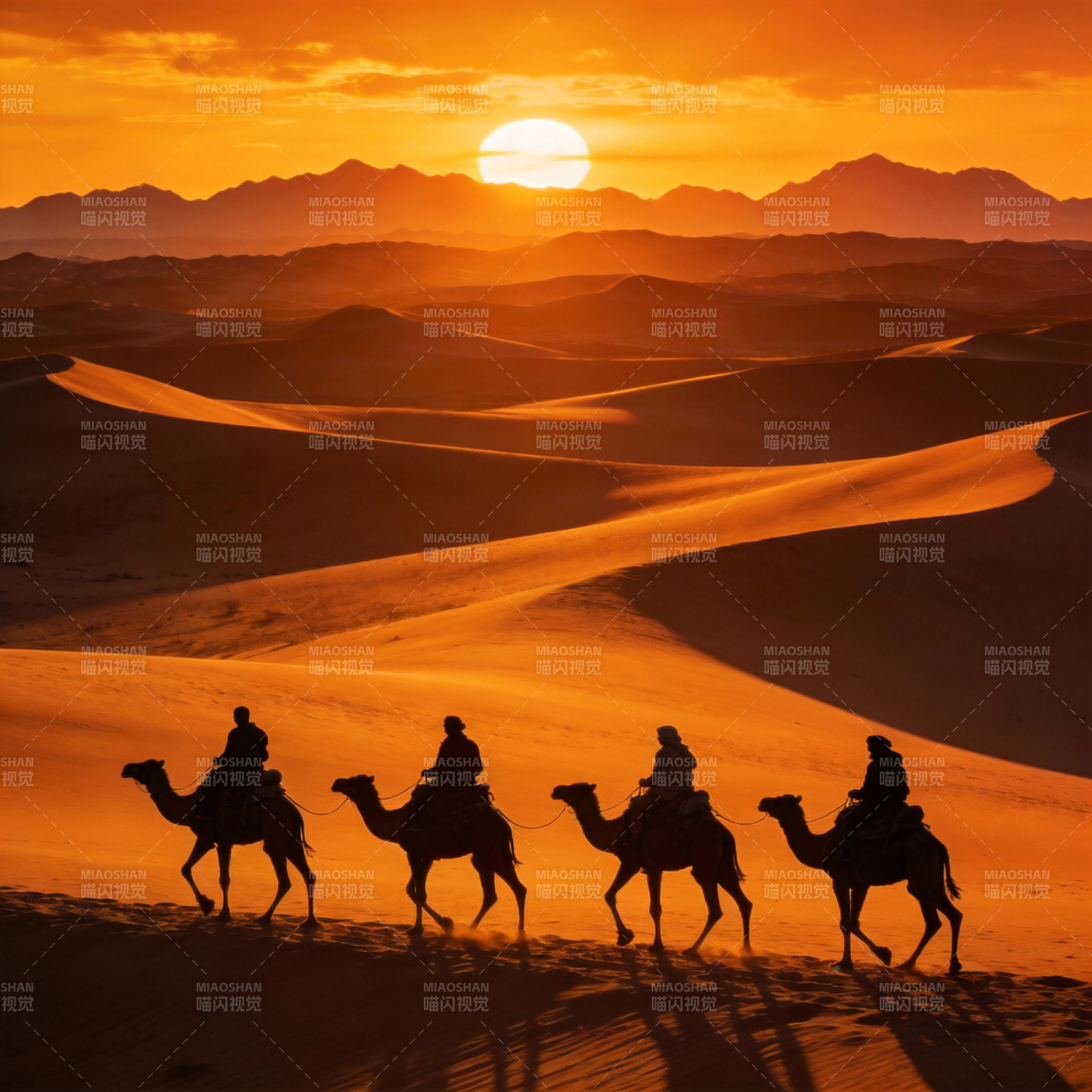 沙漠驼影夕阳图片