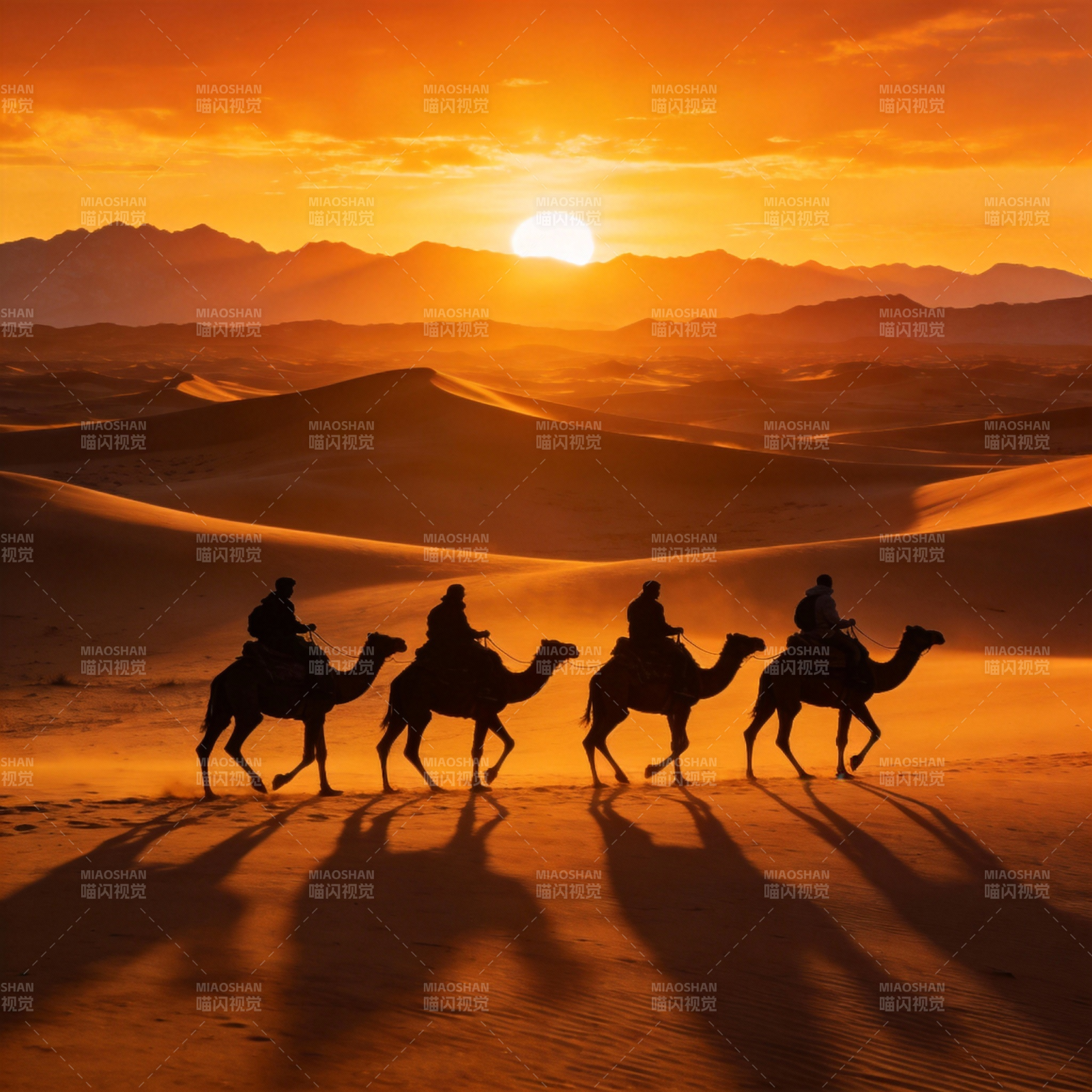 沙漠驼影夕阳下图片