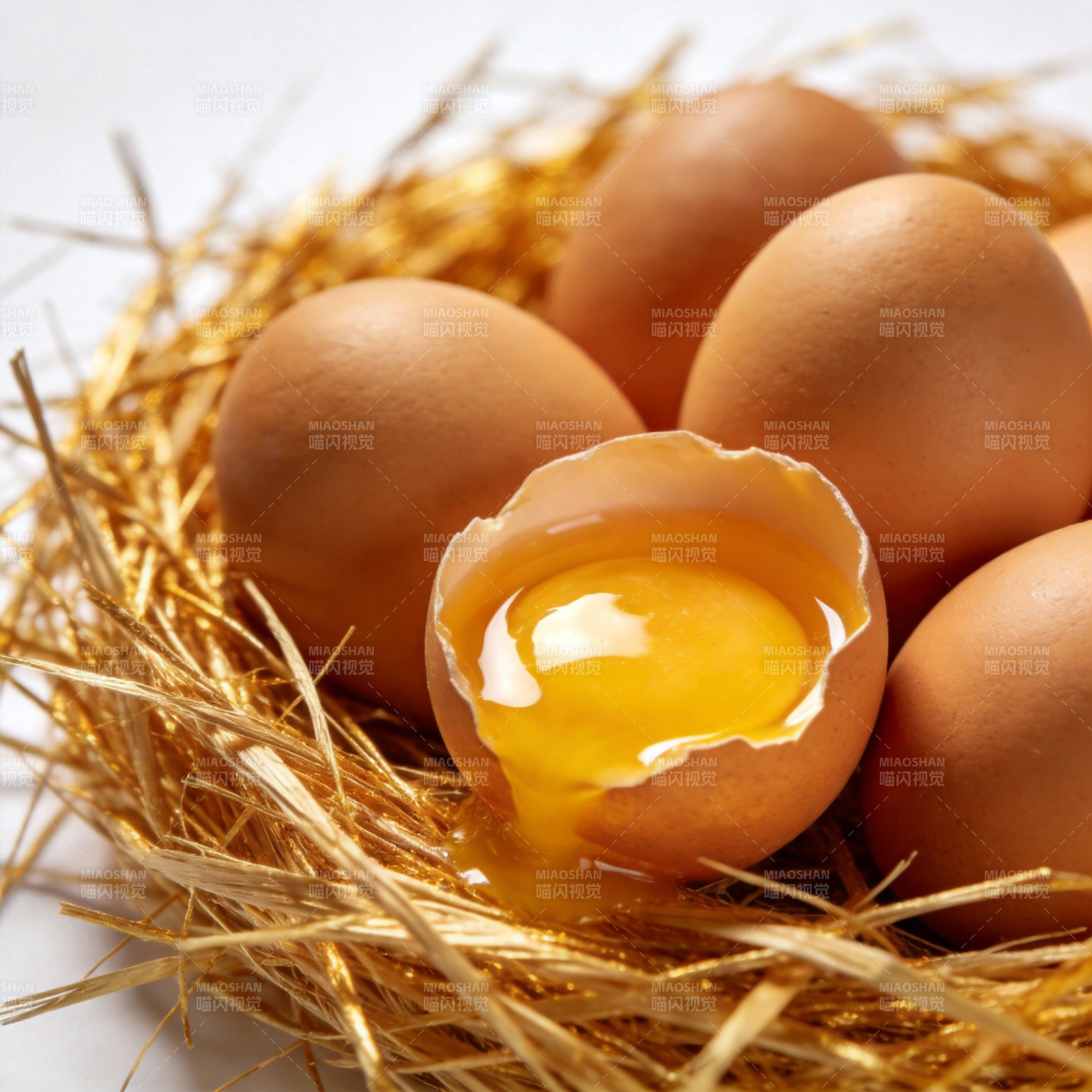 金蛋巢中破壳流黄图片