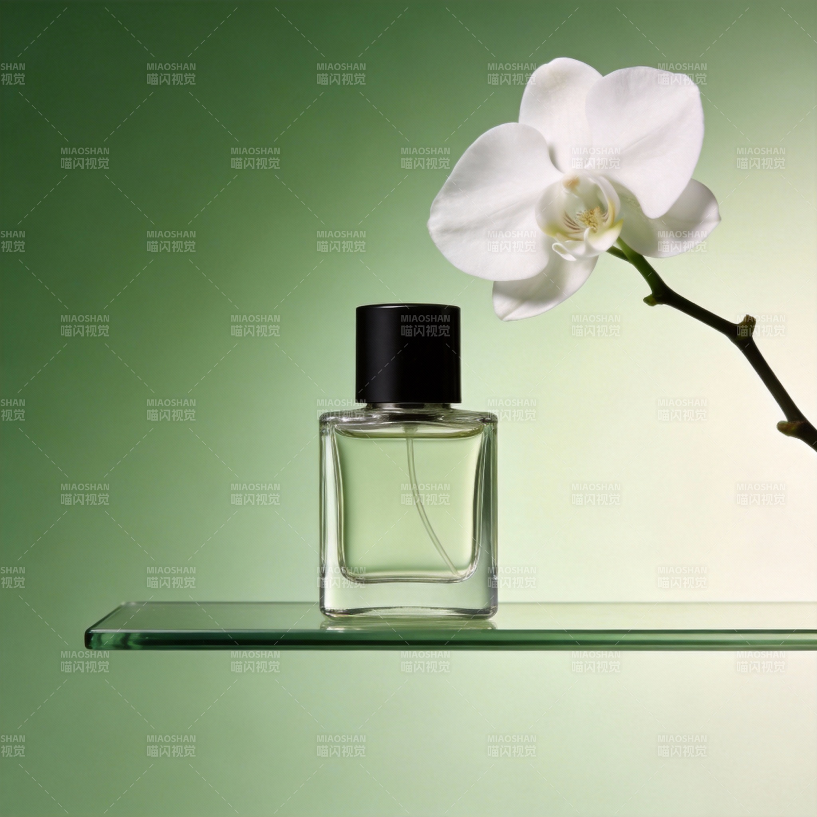 香氛与白兰图片