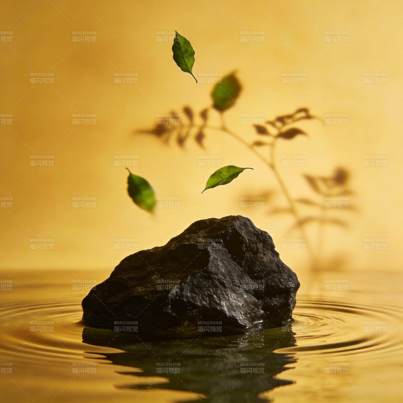 叶落石上 水波轻漾图片