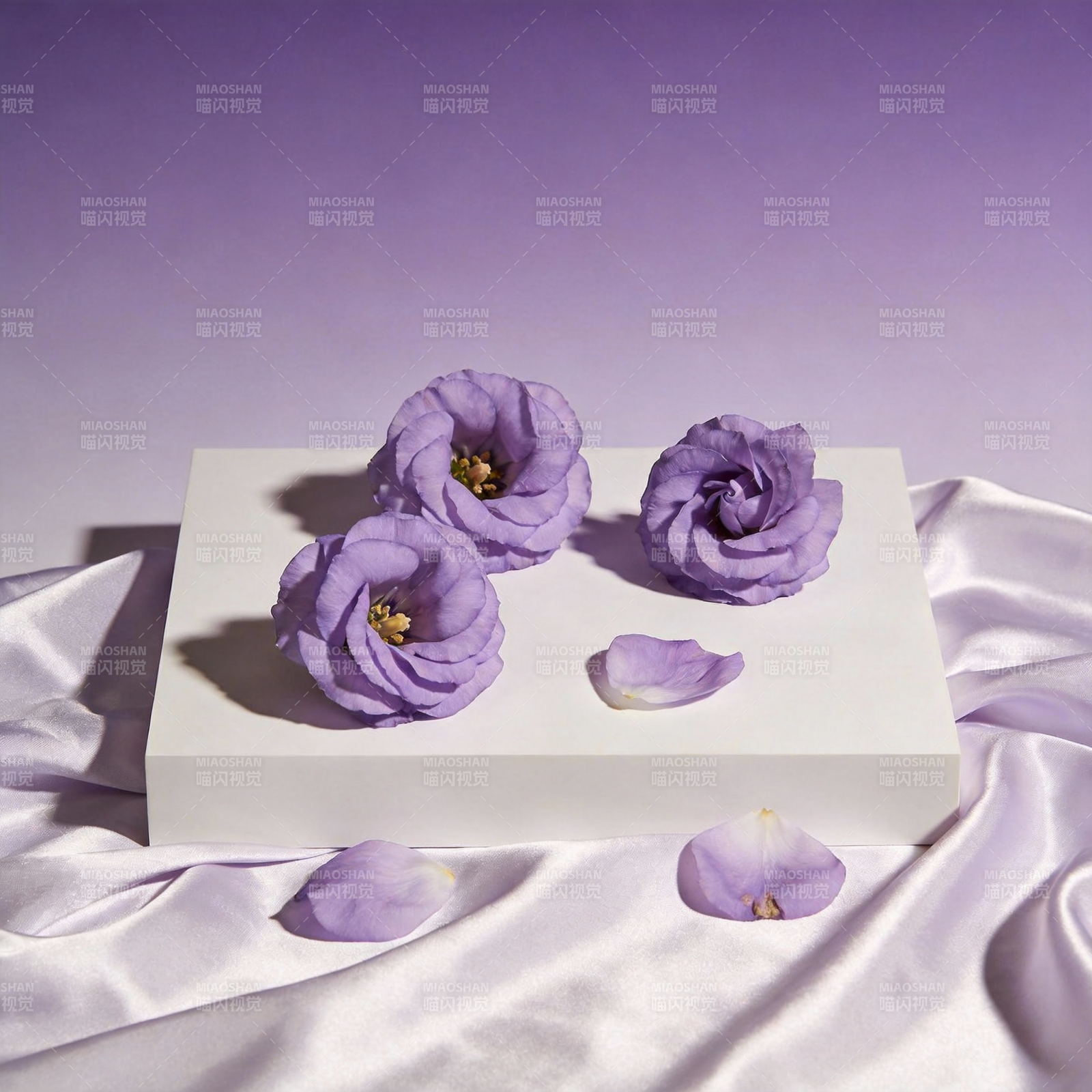 紫花静谧之美图片