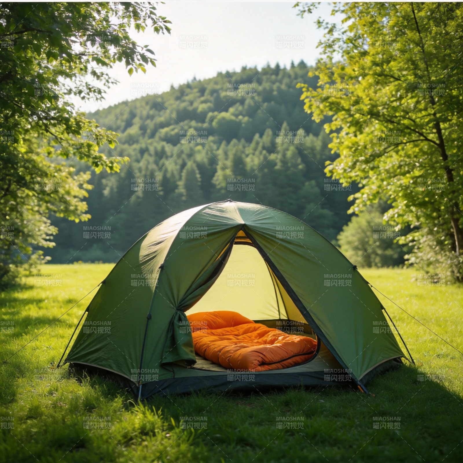 森林露营 静享自然图片