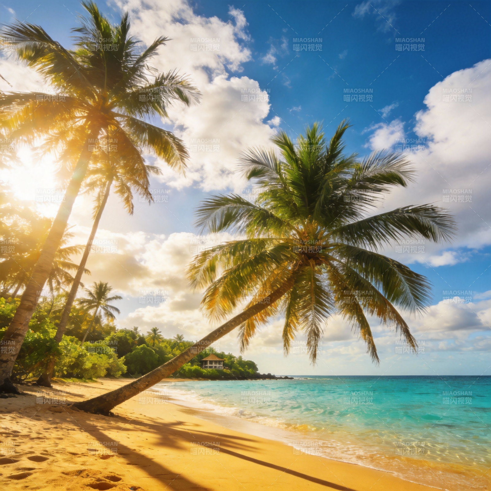 热带海滩风光图片