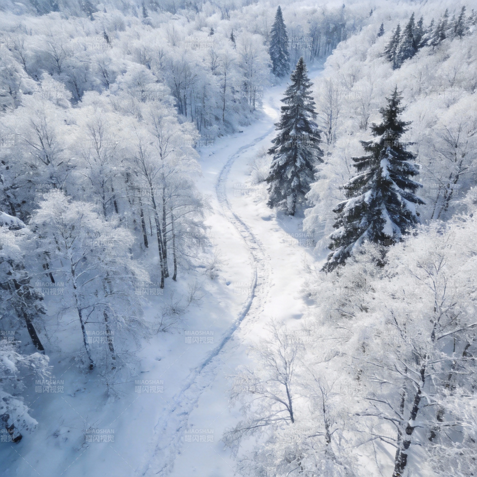 雪林小径图片