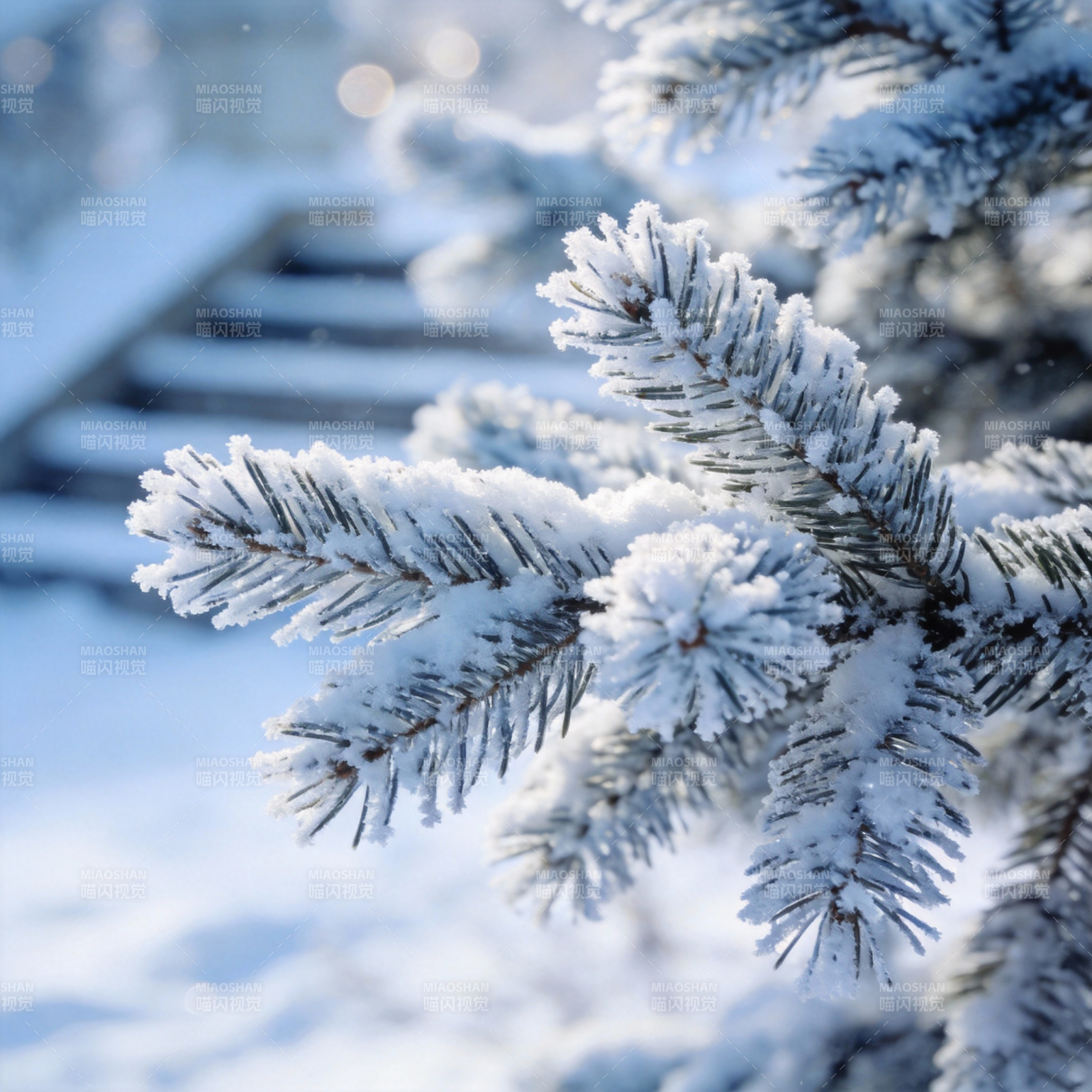 雪覆松枝图片