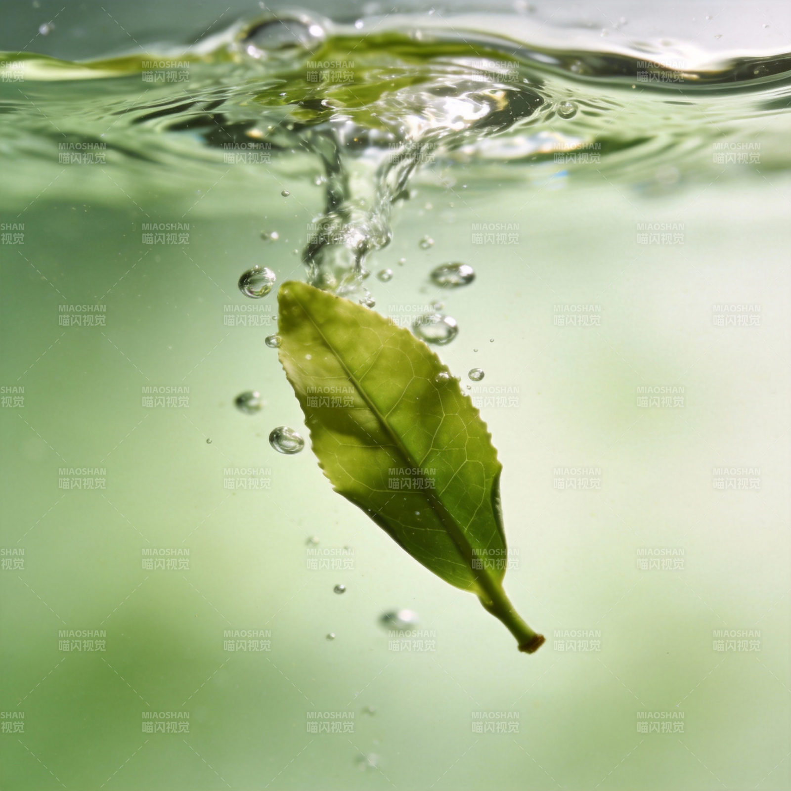 绿叶入水图片