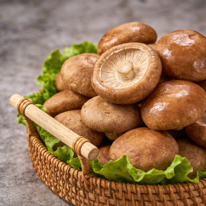 新鲜香菇篮中盛图片